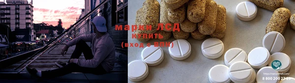 ПСИЛОЦИБИНОВЫЕ ГРИБЫ Богданович