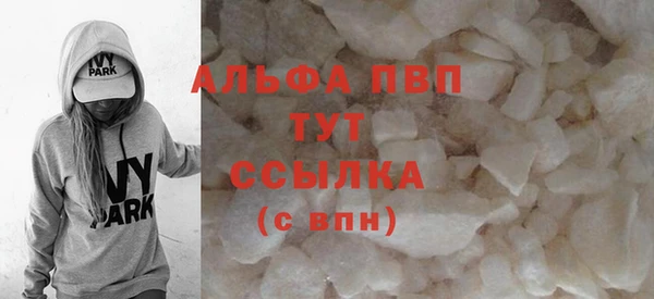 ПСИЛОЦИБИНОВЫЕ ГРИБЫ Богданович