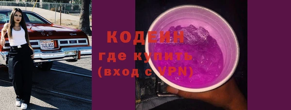 ПСИЛОЦИБИНОВЫЕ ГРИБЫ Богданович