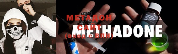 ПСИЛОЦИБИНОВЫЕ ГРИБЫ Богданович