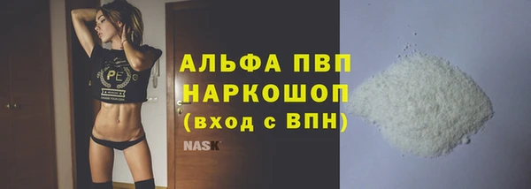 ПСИЛОЦИБИНОВЫЕ ГРИБЫ Богданович